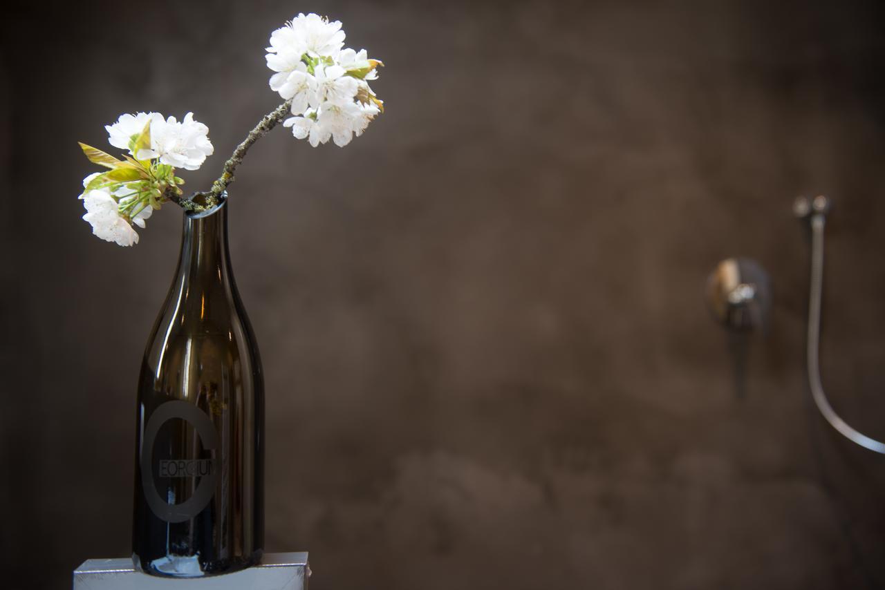 مبيت وإفطار Sankt Georgen am Längsee Weingut Georgium المظهر الخارجي الصورة