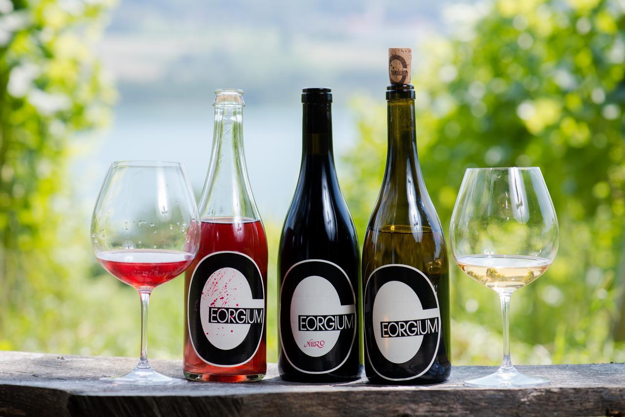 مبيت وإفطار Sankt Georgen am Längsee Weingut Georgium المظهر الخارجي الصورة