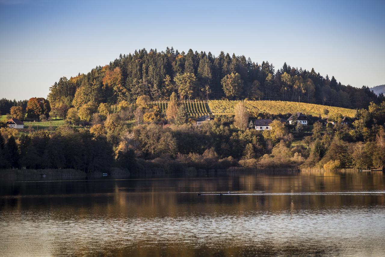 مبيت وإفطار Sankt Georgen am Längsee Weingut Georgium المظهر الخارجي الصورة